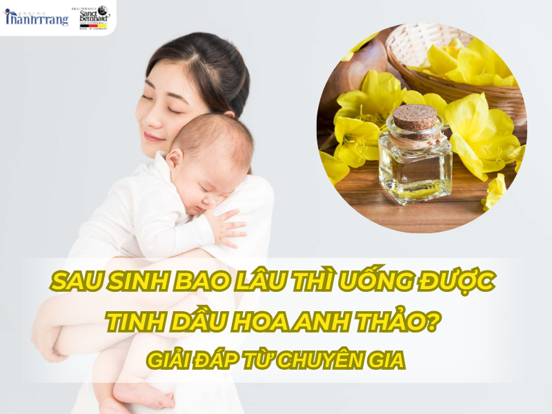 Sau sinh bao lâu thì uống được tinh dầu hoa anh thảo? - Chuyên gia giải đáp