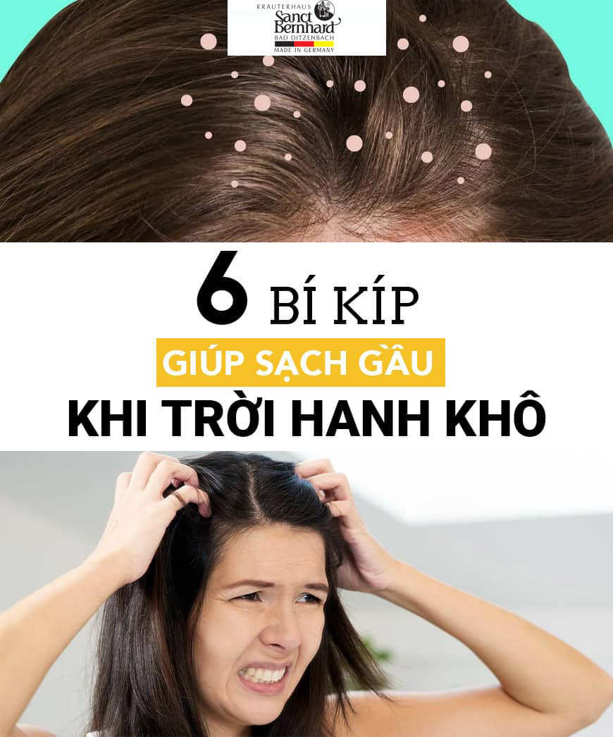 6 CÁCH “ĐÁNH BAY” GÀU TRONG MÙA ĐÔNG HANH KHÔ