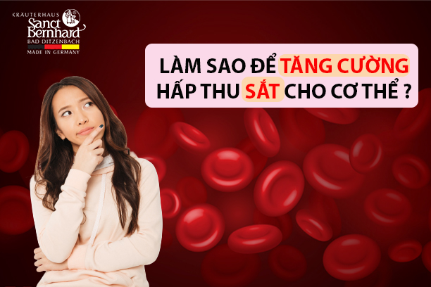 Làm sao để tăng cường hấp thu sắt cho cơ thể?