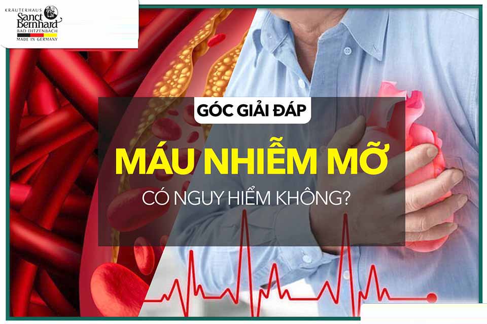 GIẢI ĐÁP THẮC MẮC: BỆNH MỠ MÁU CAO CÓ NGUY HIỂM HAY KHÔNG?