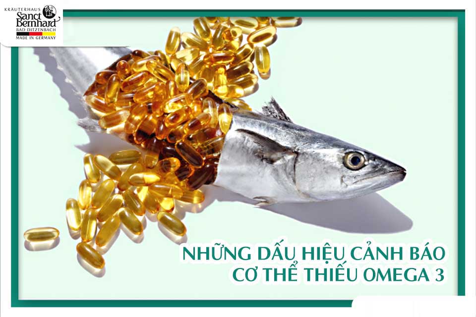 NHỮNG DẤU HIỆU CẢNH BÁO CƠ THỂ THIẾU OMEGA 3