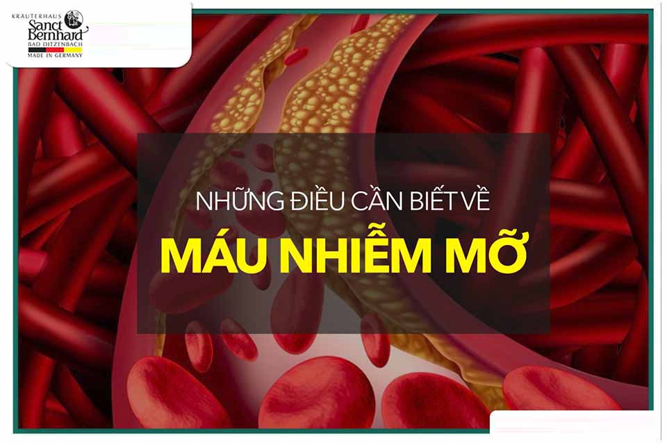 NHỮNG ĐIỀU CẦN BIẾT VỀ BỆNH MÁU NHIỄM MỠ